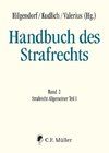 Handbuch des Strafrechts Band 2: Strafrecht Allgemeiner Teil I