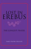 Lost in Erebus