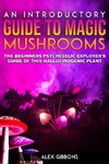 An Introductory Guide to Magic Mushrooms