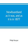 Newfoundland