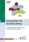 Heterogenität in der beruflichen Bildung