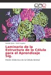 Laminario de la Estructura de la Célula para el Aprendizaje Sig.