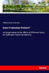 Does Protection Protect?