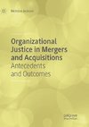 Organizational Justice in Mergers and Acquisitions