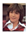 David Cassidy