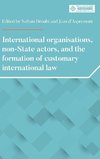 International organisations, non-State actors, and the formation of customary international law