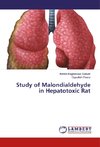 Study of Malondialdehyde in Hepatotoxic Rat