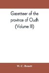 Gazetteer of the province of Oudh (Volume III)