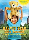 Harvey Bear Gets Rescued