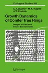 Growth Dynamics of Conifer Tree Rings