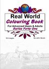 Real World Colouring Books Series 41