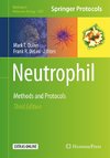 Neutrophil