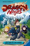 Dragon Ninjas, Band 1: Der Drache der Berge