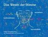 Das Wesen der Stimme