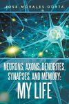 Neurons, Axons, Dendrites, Synapses, and Memory