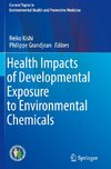 Health Impacts of Developmental Exposure to Environmental Chemicals