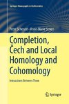 Completion, Cech and Local Homology and Cohomology