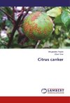 Citrus canker