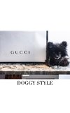 Gucci  Doggy Style