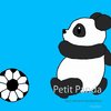 Petit Panda