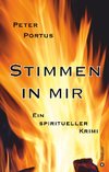 Stimmen in mir - Ein spiritueller Krimi