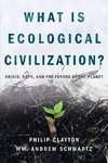 What Is Ecological Civilization