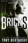 Bricks (Large Print Edition)