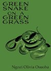 Green Snake on a Green Grass