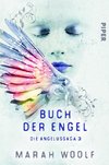 Buch der Engel