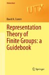 Representation Theory of Finite Groups: a Guidebook