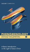 Phenomenology