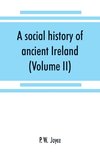 A social history of ancient Ireland