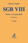 SGB VIII