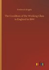 The Condition of the Working-Class in England in 1844