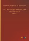 The Three Voyages of Captain Cook round the World
