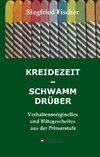 KREIDEZEIT - SCHWAMM DRÜBER