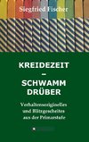 KREIDEZEIT - SCHWAMM DRÜBER