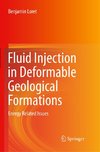 Fluid Injection in Deformable Geological Formations