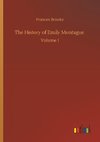 The History of Emily Montague