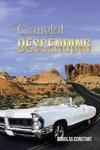 Camelot Descending