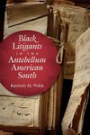 Black Litigants in the Antebellum American South