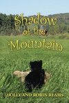 Shadow of the Mountain