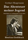 Das Abenteuer meiner Jugend (Großdruck)