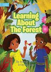 Learning About The Forest