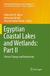 Egyptian Coastal Lakes and Wetlands: Part II