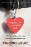 Where the Lost Dogs Go