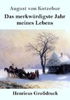 Das merkwürdigste Jahr meines Lebens (Großdruck)