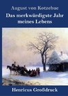 Das merkwürdigste Jahr meines Lebens (Großdruck)