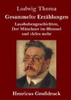 Gesammelte Erzählungen (Großdruck)