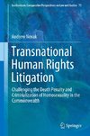 Transnational Human Rights Litigation